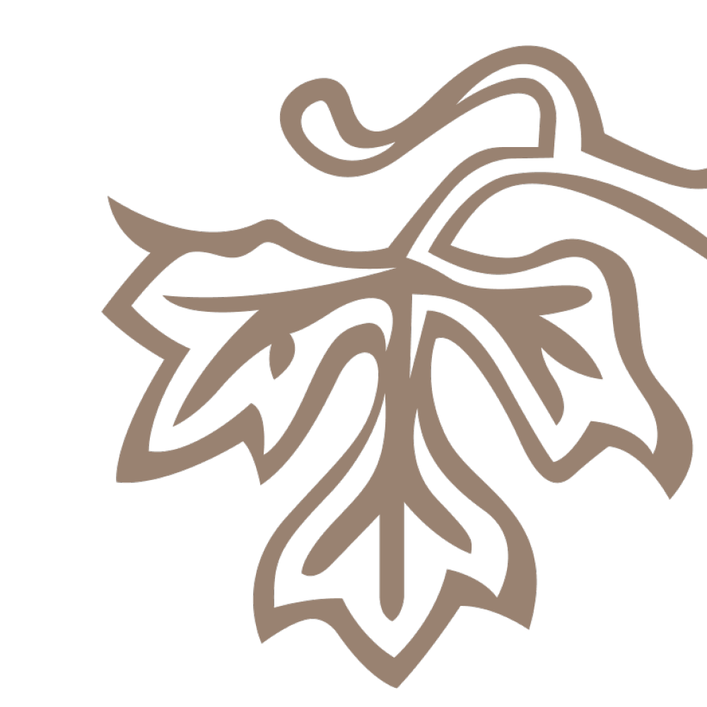 Albani Content2